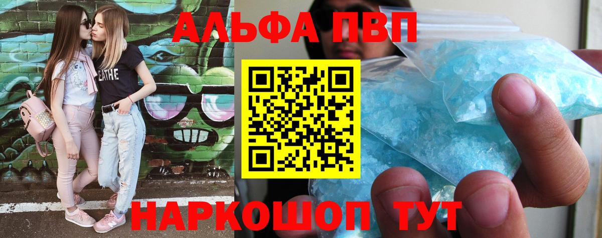 Альфа ПВП СК КРИС Светлоград