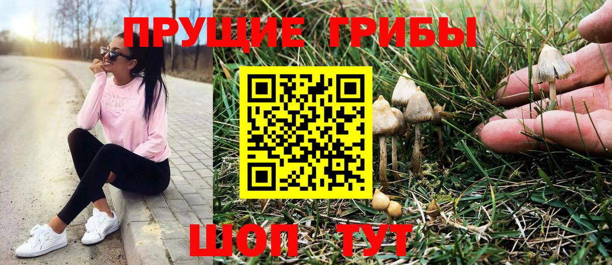 магазин    Галлюциногенные грибы мицелий  Вход с VPN  Псилоцибиновые грибы Psilocybine cubensis  Светлоград 
